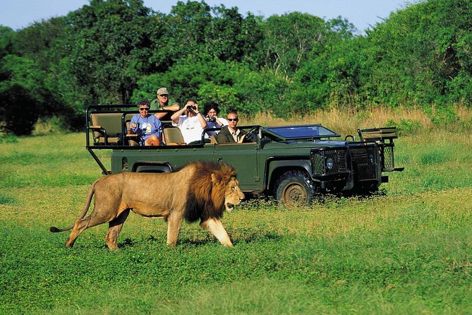 3 Day Big 5 and Bungee Tour - Garden Route Small Group Tour from Cape Town - A big South African weekend in just three days