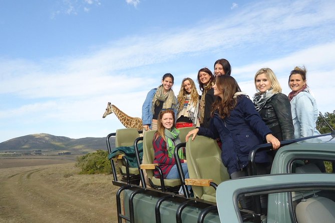 3 Day Big 5 and Bungee Tour - Garden Route Small Group Tour from Cape Town - Day two: market food, primates, and Bloukrans Bridge
