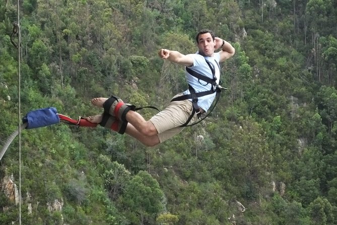 3 Day Big 5 and Bungee Tour - Garden Route Small Group Tour from Cape Town - What makes the guide important