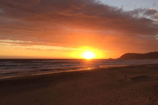 3 Day Big 5 and Bungee Tour - Garden Route Small Group Tour from Cape Town - Who should book this Garden Route tour?