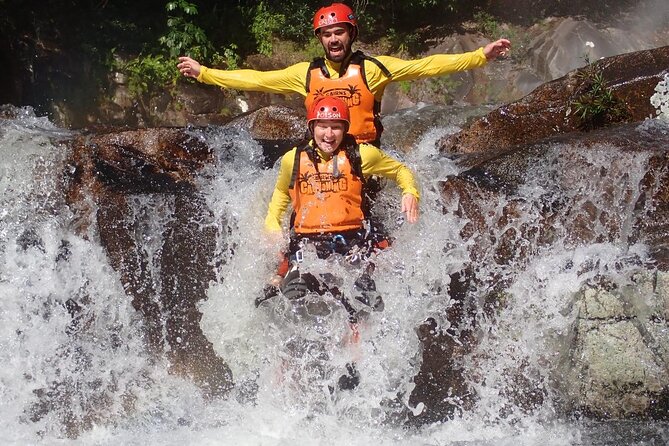 Cairns: Tandem Skydive Experience over Reef & Rainforest - The freefall: the part you will remember