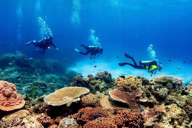 Cairns: Tandem Skydive Experience over Reef & Rainforest - Who should book this jump
