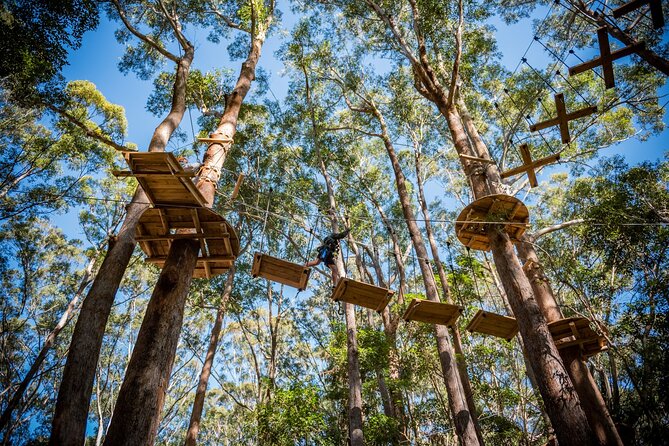 Coffs Harbour Ground Rush or Max Freefall Tandem Skydive on the Beach - Is $271.84 good value?