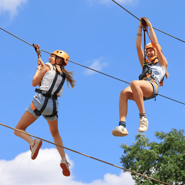 Gripped London: Zip Line, High Ropes & Freefall Adventure - Three outdoor challenges in one London-area visit