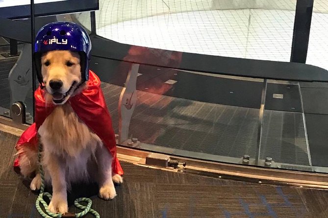 Kansas City Indoor Skydiving Admission with 2 Flights & Personalized Certificate - Should you book the Kansas City indoor flight?
