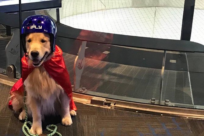 King of Prussia Indoor Skydiving with 2 Flights & Personalized Certificate - Who should not fly and what to check