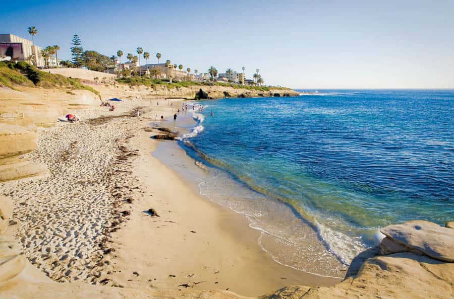 La Jolla Free fall Electric Bike Tour - Why this route gives you a useful first look at San Diego