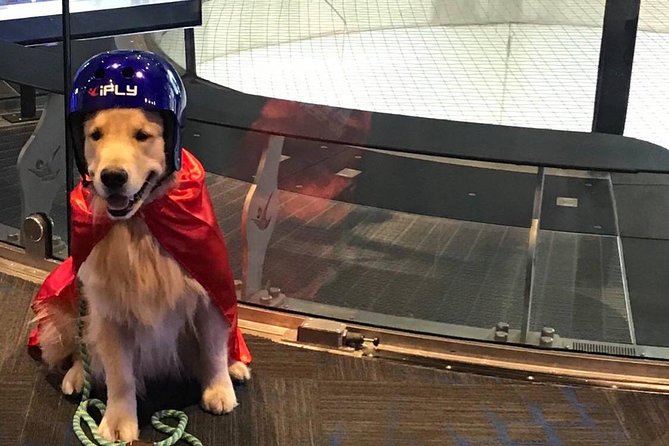 Minneapolis Indoor Skydiving Admission with 2 Flights & Personalized Certificate - Is $106.45 a Fair Price?