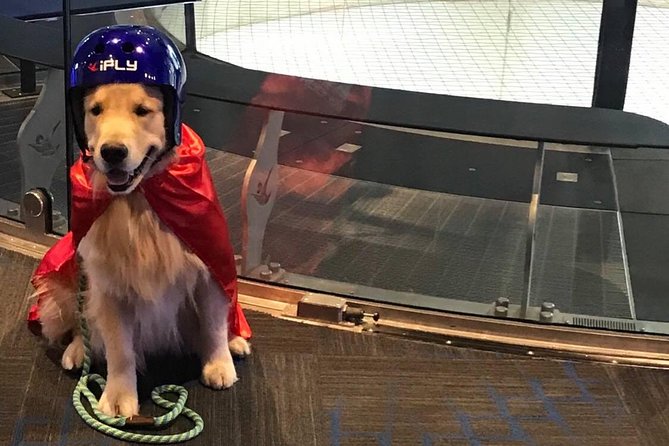 Paramus Indoor Skydiving Experience with 2 Flights & Personalized Certificate - The certificate and the $114 price