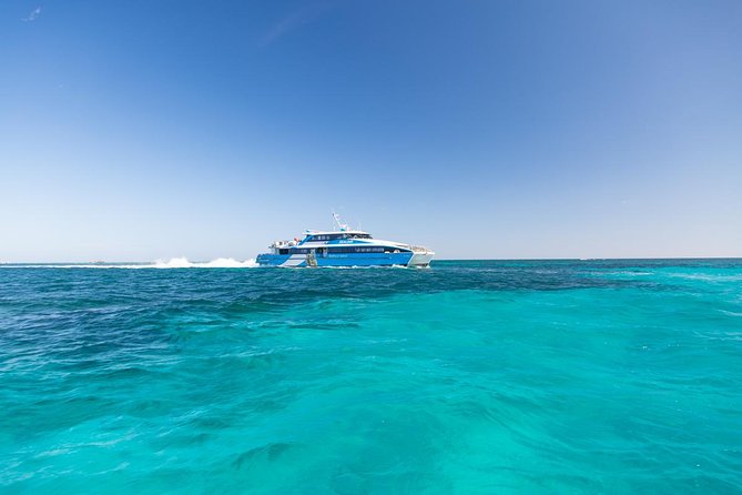 Rottnest Island Skydive Including Round Trip Ferry from Fremantle - Who should book this Rottnest Island experience