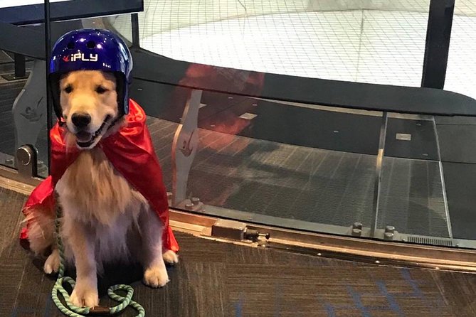 San Francisco Indoor Skydiving with 2 Flights & Personalized Certificate - Practical preparation before you go
