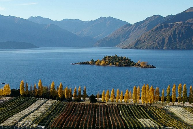 Skydive Wanaka - What the $222.79 Price Really Covers